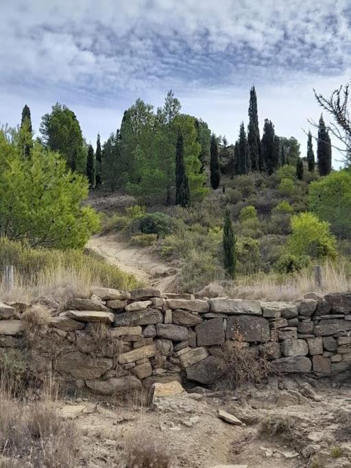 La Petite Pelerine Διαμέρισμα Ναρμπόν Εξωτερικό φωτογραφία